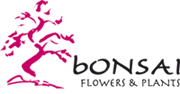 Bonsai client logo